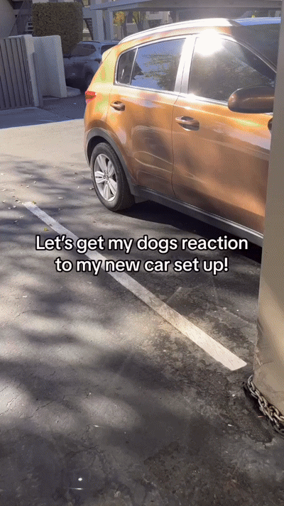 RuffRover 2.0™ - Hard Bottom Dog Car Seat Protector